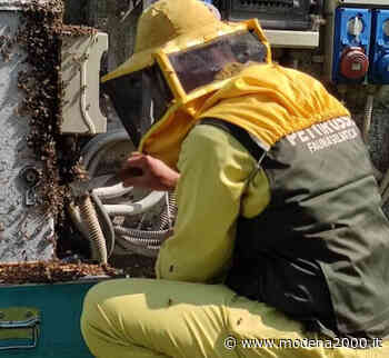 Il Comune di Modena conferma al Pettirosso il contributo annuale - Modena 2000