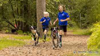 Hannes (12) & Lukas (10) aus Bad Bramstedt machen „Canicross“: Diese Jungs sind Weltklasse im Hunde-Hinterherlaufen - BILD