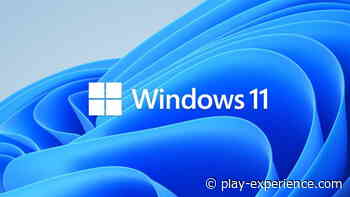 Widgets für Windows 11 – Alle Informationen zu den neuen Gadgets - Play Experience