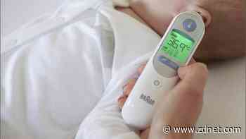 The 5 best thermometers of 2022