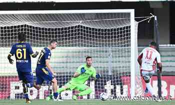 Verona-Bari 1-4, votate le PAGELLE DEI TIFOSI! - Calcio Hellas