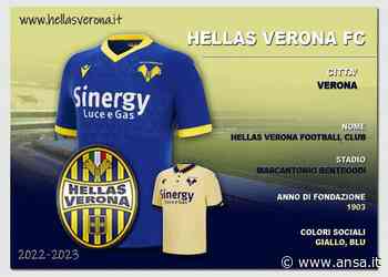 VERONA: solito mercato pirotecnico, Cioffi perplesso - Agenzia ANSA