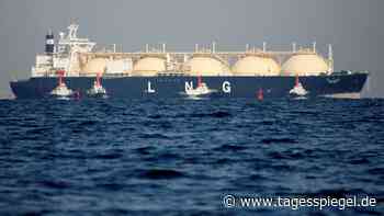 Streit um Gas-Spezialschiffe : LNG-Unternehmer verärgert über Vorgehen der Bundesregierung - Wirtschaft - Tagesspiegel