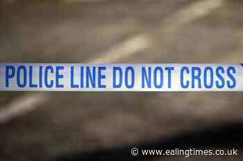Girl, 11, dies after incident at water park, police confirm - Ealing Times