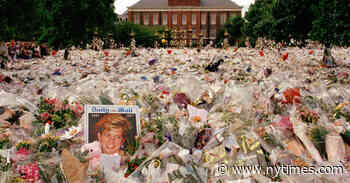 What’s on TV This Week: ‘The Princess’ and ‘Password’