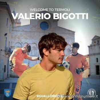 Un altro portiere per il Termoli: ingaggiato il 20enne Bigotti - Primonumero
