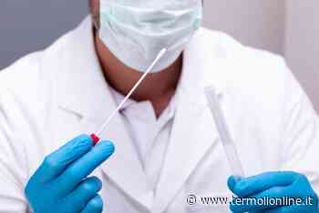 Covid: nel Molise 249 contagi e nessun guarito registrato dall'Asrem - Termoli Online
