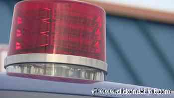 Livingston County man held in 1997 killing of St. Clair County woman - WDIV ClickOnDetroit