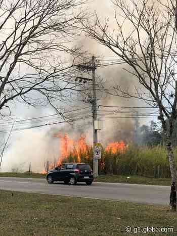 Fogo atinge área de vegetação em Penedo; veja fotos - Globo