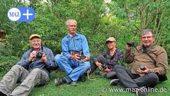 Rathaus-Doku: Kunstverein dokumentiert Bau des Michendorfer Rathauses in Bildern - Märkische Allgemeine Zeitung