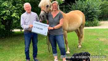 Spende für Wallenhorster Reittherapie Johann Bünting-Stiftung unterstützt Tiere helfen e.V. - Wallenhorster.de