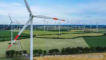 BDI-Chef verlangt schnellere Genehmigungen für Windräder