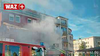 Kleiner Hund stirbt bei einem Wohnungsbrand in Witten - WAZ News