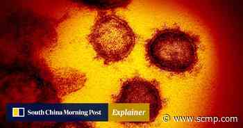 Hong Kong researchers’ discovery could lead to new coronavirus treatments - South China Morning Post