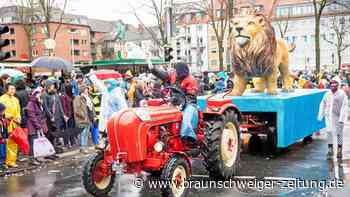 Motto für den Braunschweiger Karnevalszug 2023 gesucht - Braunschweiger Zeitung