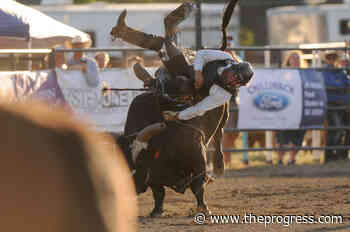 PHOTOS: Bucking bulls kick off 1st day of Chilliwack Rodeo at 150th annual fair - Chilliwack Progress