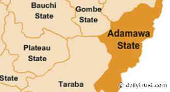 Adamawa State blazing the trail - Daily Trust
