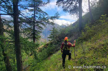 Evacuation alerts lifted while Nohomin Creek Fire continues to burn - Trail Times