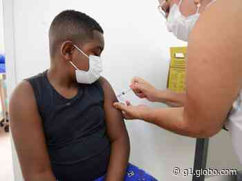 Cidades da região de Campinas vacinam moradores contra Covid-19 e gripe neste fim de semana; veja onde - Globo