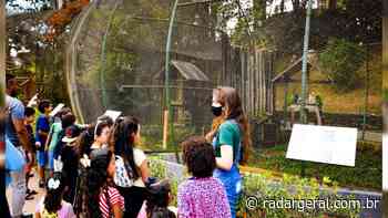 Mais de 700 crianças participam das Férias no Parque Ecológico de Itabirito - Radar Geral Itabirito