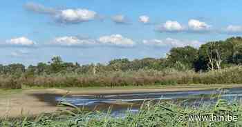 Grote plas Bourgoyen droogt langzaam op, maar natuur herstelt zich vanzelf - Het Laatste Nieuws