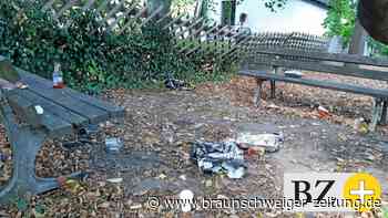 Grillparty – Gäste „vergessen“ das Aufräumen