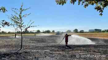 BRUCHSAL | Flächenbrand hinter DJK-Sportgelände | Info-Slider - Landfunker