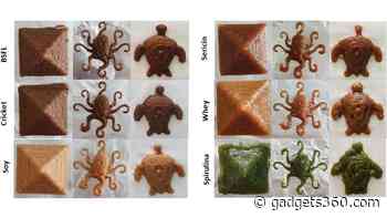 3D-Printed Food Developed by Researchers, Could Help People Eat Alternative Protein Sources