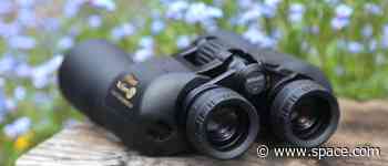 Nikon Action EX 12x50 binoculars review