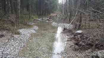 Bachprojekt im Augsburger Stadtwald startet im Herbst