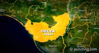 Delta: Three feared dead as car crushes cows - Punch Newspapers