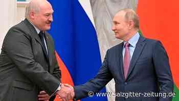 Lukaschenko gerät im Ukraine-Krieg unter Druck - Salzgitter Zeitung