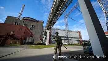 Armee in Donezk weiter unter Druck - Sorge um Atomkraftwerk - Salzgitter Zeitung