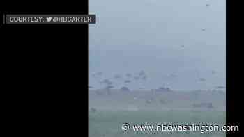 Umbrellas Went Flying at Bethany Beach From Friday Storms - NBC4 Washington