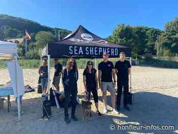 Opération de sensibilisation à la nature sur la plage du Butin - Honfleur Infos