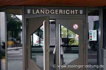 Sexualdelikt in Reichenbach - Anklage gegen möglichen Vergewaltiger - esslinger-zeitung.de