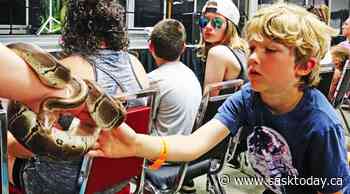 Weyburn Fair attendance is just under 6000 for 2022 - SaskToday.ca