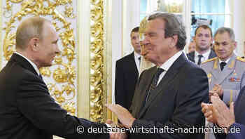 Gerd Schröder bleibt Genosse