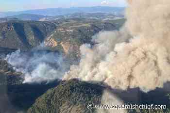 Hotter, drier weather causing increase in B.C. wildfire near Okanagan - Squamish Chief