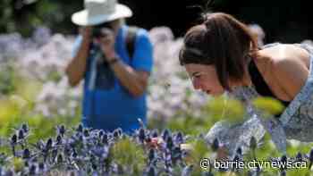 Georgian Bay Garden Tour is hosting an event in support of Hospice Huronia