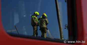 Spelende kinderen veroorzaken brand in weiland | Sint-Gillis-Waas | hln.be - Het Laatste Nieuws