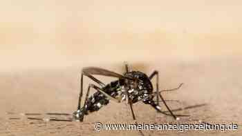 Erderwärmung fördert Ausbreitung von Krankheiten