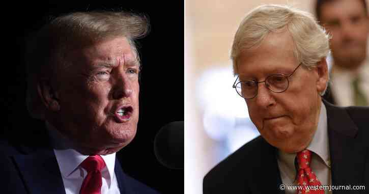 Trump Roasts Mitch McConnell for Getting 'Played Like a Fiddle' by Democrats on Key Vote
