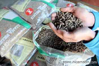 Après la flambée des prix, allons-nous vers une pénurie de granulés de bois cet hiver?