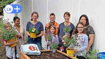 Geesthacht: Schüler der Buntenskampschule bepflanzen Hochbeete - Lübecker Nachrichten