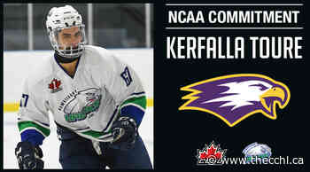 Commitment Alert | Hawks Kerfalla Toure commits to NCAA Elmira College - CCHL