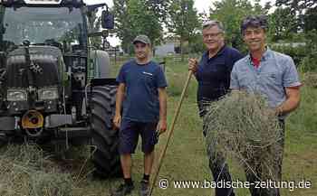 Schonende Mahd zum Schutz von Insekten - Breisach - badische-zeitung.de