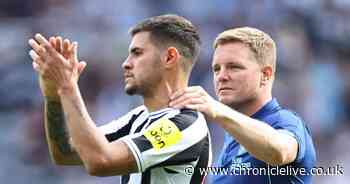 Eddie Howe's intriguing verdict on Bruno Guimaraes after weekend of rave reviews for Newcastle star - Chronicle Live