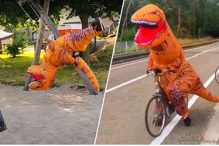 Kleurrijke dino duikt op in Wechelse straatbeeld en haalt gekke capriolen uit