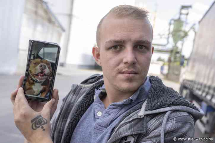 Turnhoutenaar verliest zijn hond na besmetting met blauwalg: “Zijn longen waren helemaal weggebrand”